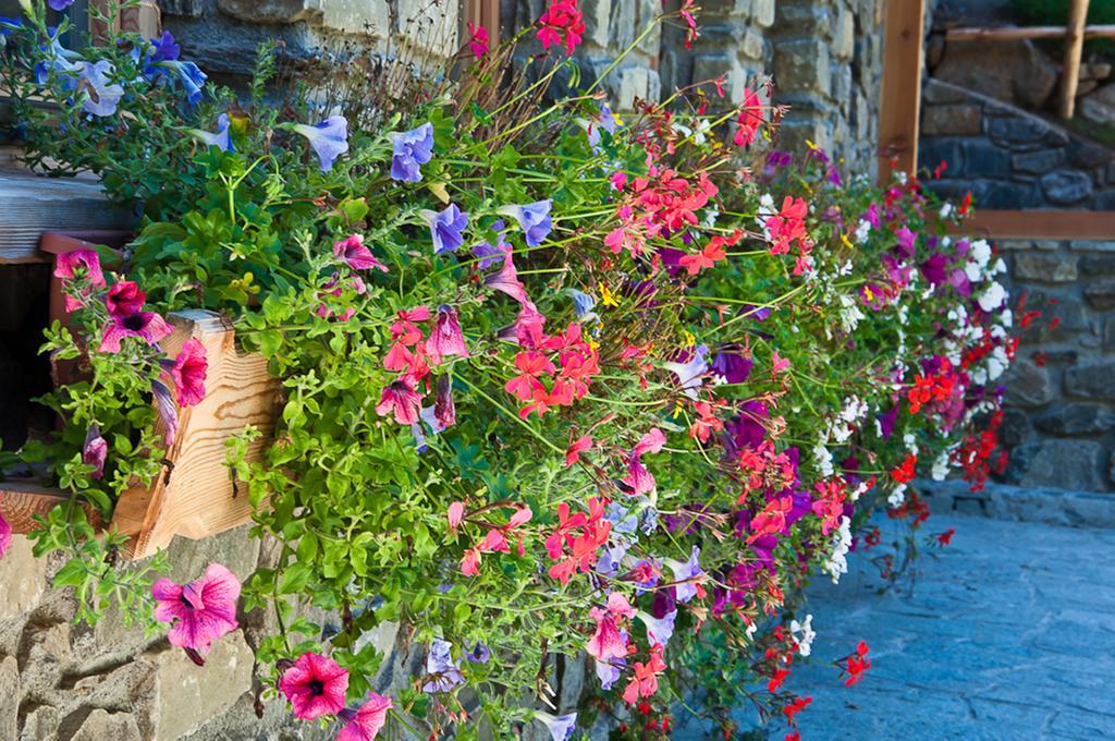 Chalet Alpenrose Bio Wellness Naturhotel Cogolo Exterior foto
